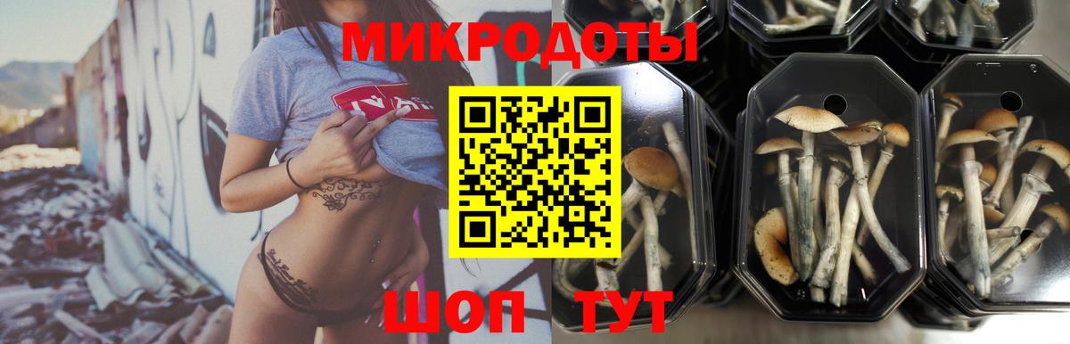 Псилоцибиновые грибы MAGIC MUSHROOMS  Галлюциногенные грибы Cubensis  купить наркотики сайты  Альметьевск  Вход с VPN 