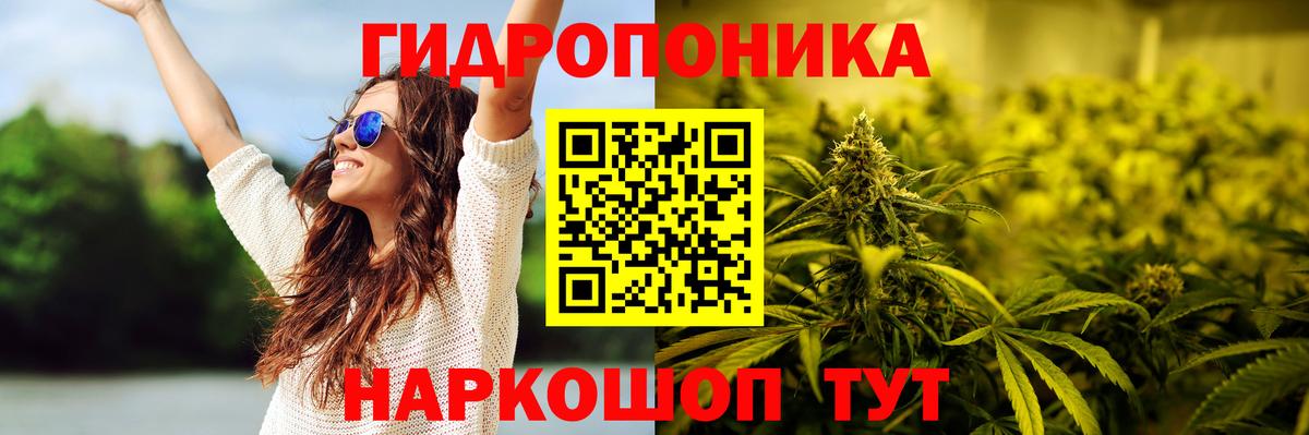 Бошки Шишки ГИДРОПОН  Конопля план  Альметьевск  Вход с VPN  Бошки марихуана MAZAR  Бошки марихуана Ganja 